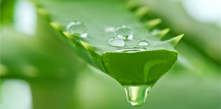 aloe vera e limone viso