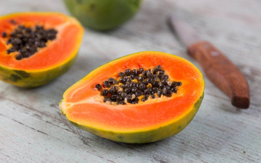 papaya fermentata benefici