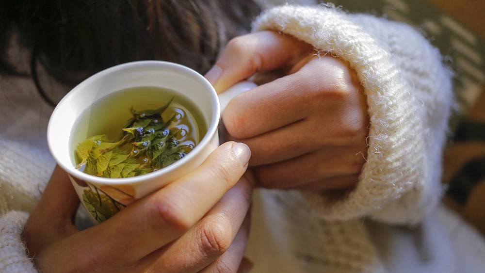 Tisane erboristeria e tradizione: come si preparano