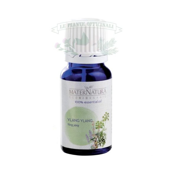 olio essenziale ylang ylang