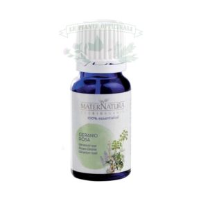 rose geranium