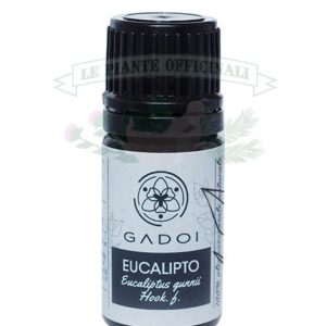 olio essenziale di eucalipto