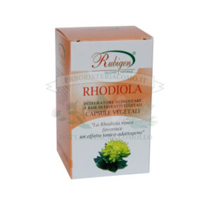 rhodiola rosea
