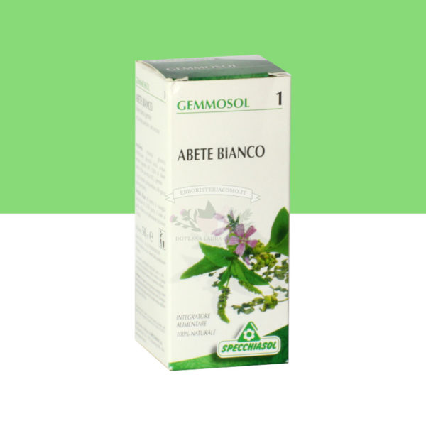 abete bianco