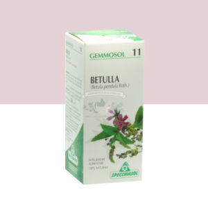 gemmoderivato betulla