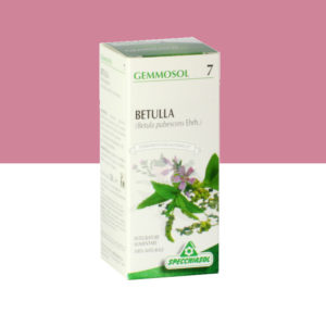 betulla