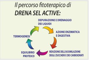 drena sel active