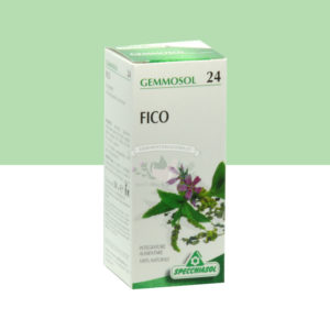 ficus carica gemmoderivato