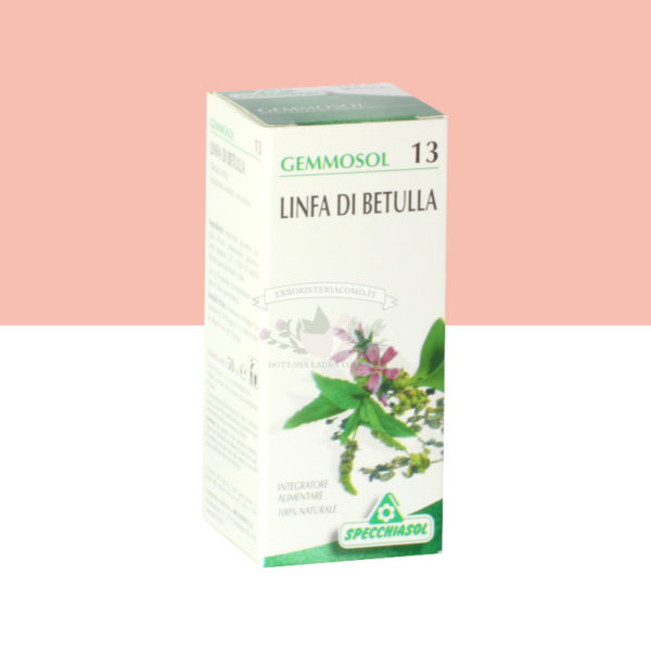 linfa betulla