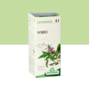 gemmoderivato sorbo