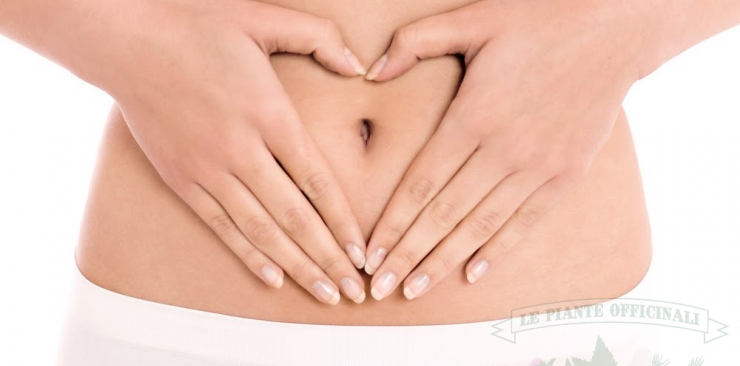 Microbiota, Prebiotics and Probiotics for intestine