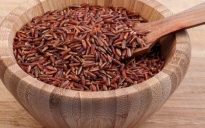 Fermented Red Rice VS Cholesterol