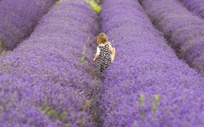 How to use essential oils safe for babies: rules and tips