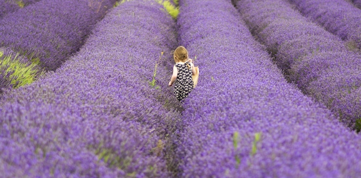 How to use essential oils safe for babies: rules and tips