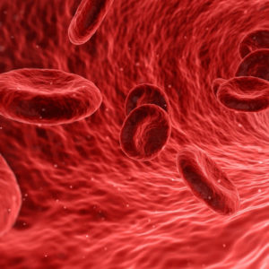 Systemic circulation supplements