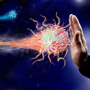 Immunitary system Supports