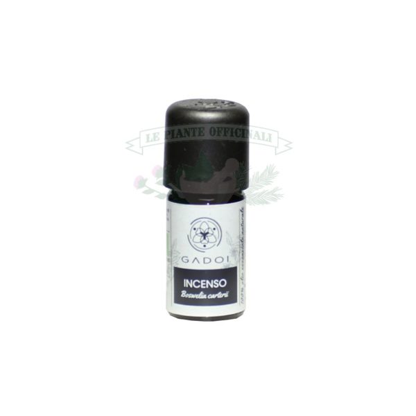 Organic Frankincense essential oil