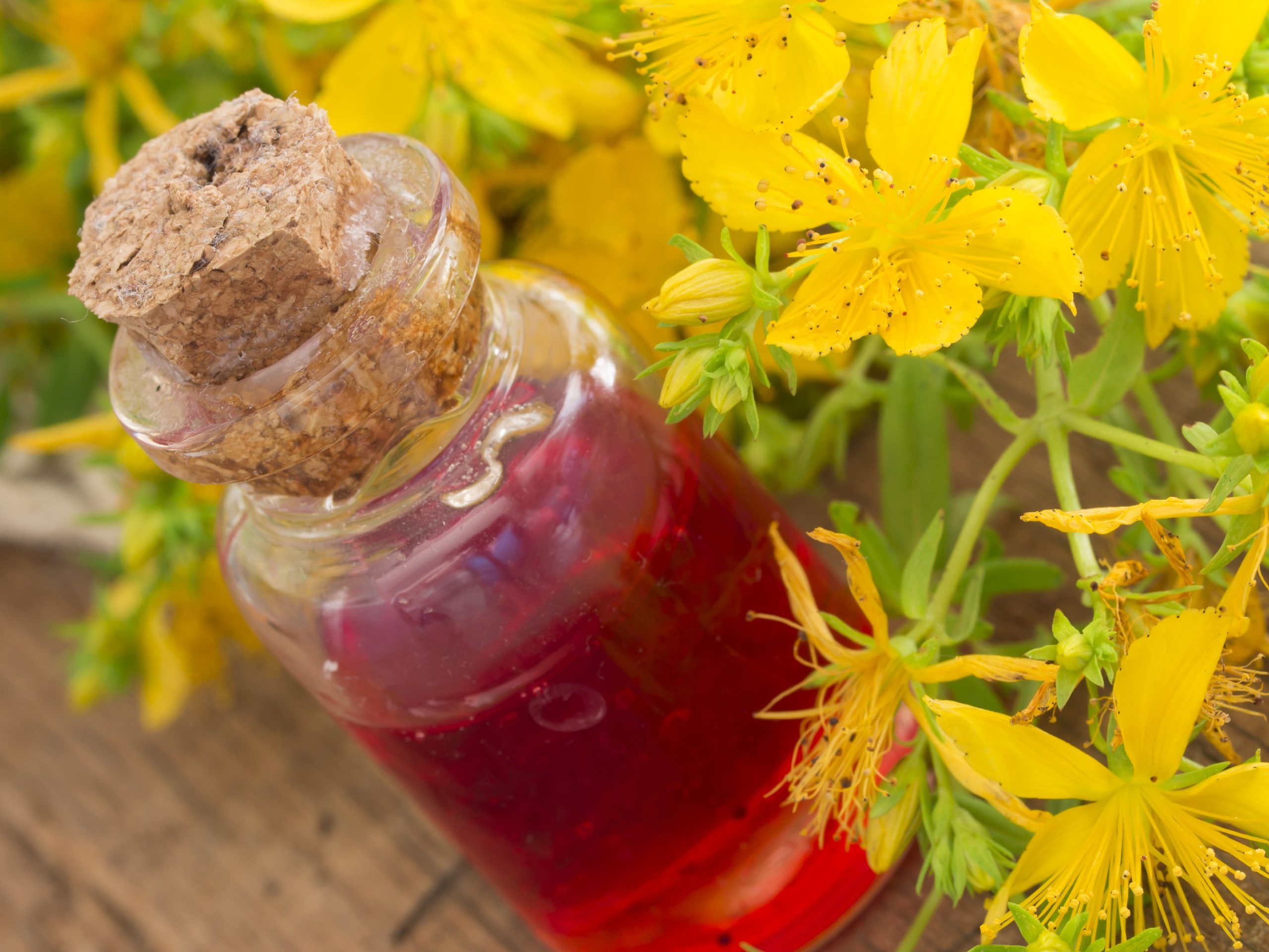 St. John's wort oil how to prepare it and what it is for