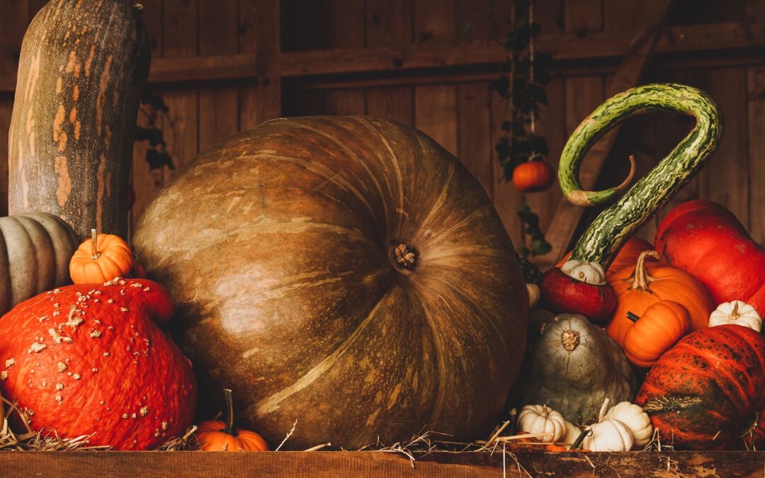 La zucca, Halloween e…rimedi naturali