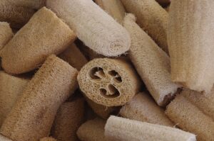luffa