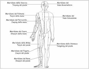 meridiani corpo