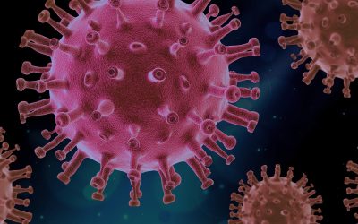 Proteina Spike danni endoteliali gli ultimi studi
